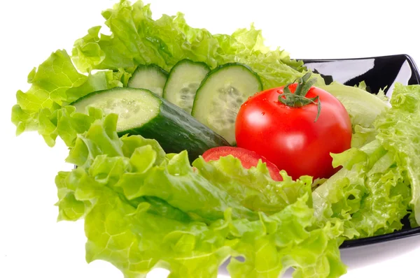 Tomate, salade, concombre, feuille de salade sur plat isolé sur ba blanc — Photo
