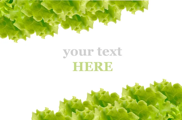 Свіжий зелений салат рамка — стокове фото