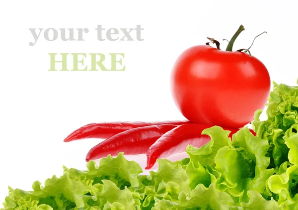 Rode chilipepertjes met rode tomaten en salade blad geïsoleerd op — Stockfoto