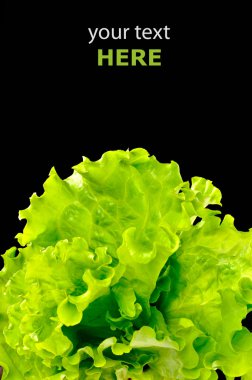 Fresh green salad isolated on black background clipart