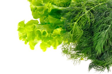 Salad leaf and dill isolated on white background clipart