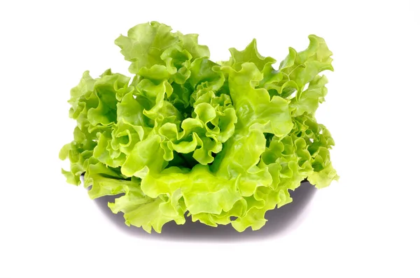 Färsk grön sallad isolerad på vit bakgrund — Stockfoto