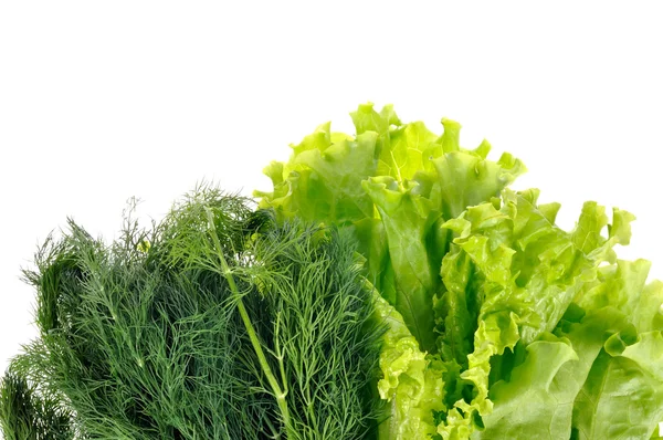 Dill e salada isolada no fundo branco — Fotografia de Stock