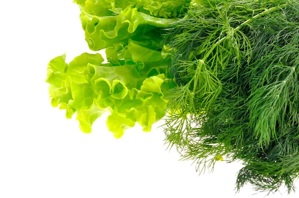 Salade blad en dille geïsoleerd op witte achtergrond — Stockfoto