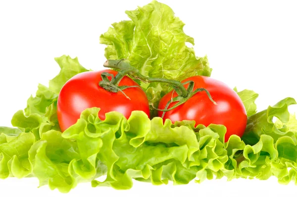 टोमॅटो आणि सॅलड पाने पांढरा पार्श्वभूमीवर वेगळे — स्टॉक फोटो, इमेज