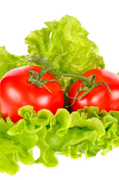Tomaat en salade blad geïsoleerd op witte achtergrond — Stockfoto