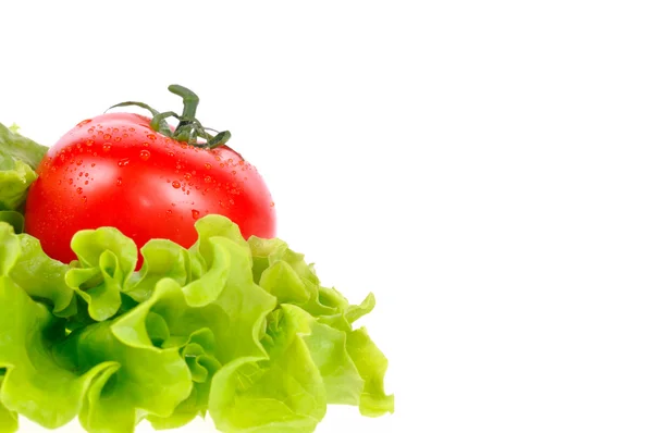 Tomate rojo con ensalada verde aislado sobre fondo blanco — Foto de Stock