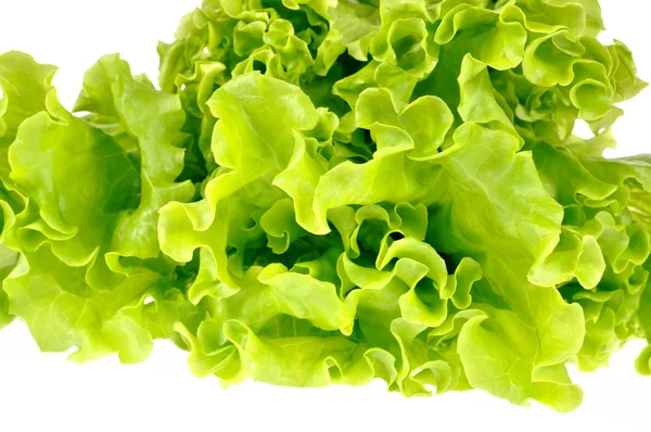 Zöld salátával, elszigetelt fehér background — Stock Fotó