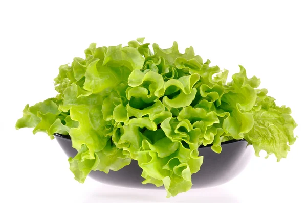 Fresh green salad isolated on white background — Stock Photo, Image