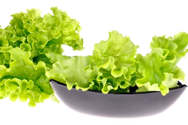 Čerstvý zelený salát izolované na bílém pozadí — Stock fotografie