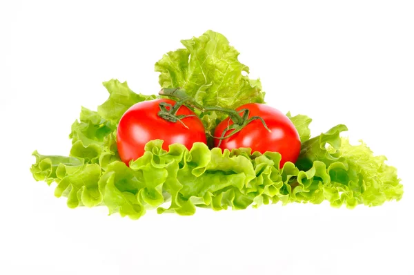 白の背景に分離されたトマトとサラダの葉 — ストック写真
