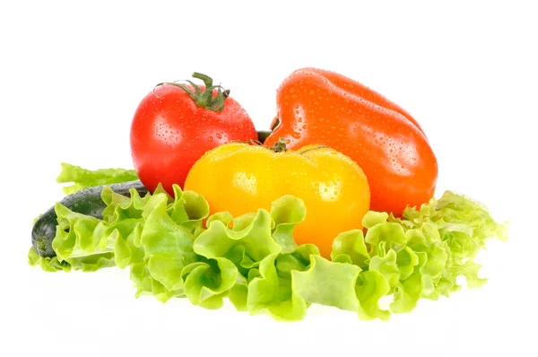 Verse groenten geïsoleerd op witte achtergrond — Stockfoto