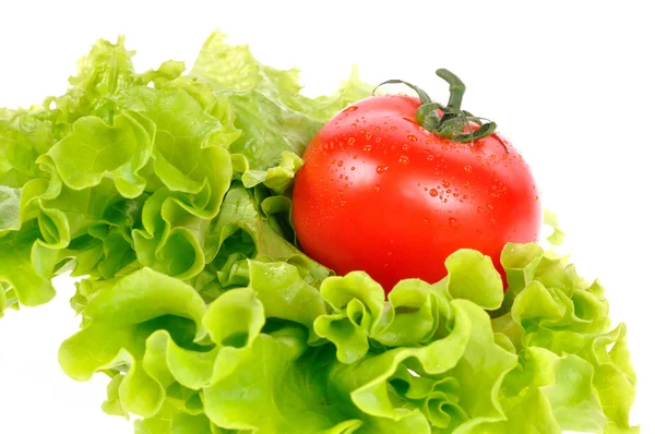 Tomaat op salade blad geïsoleerd op witte achtergrond — Stockfoto