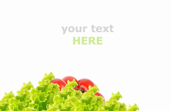 Tomato and salad leaf isolated on white background — Stock Photo, Image
