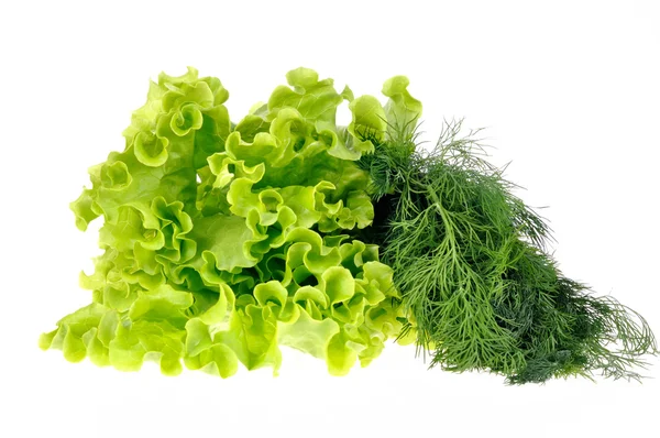stock image Salad leaf and dill isolated on white background