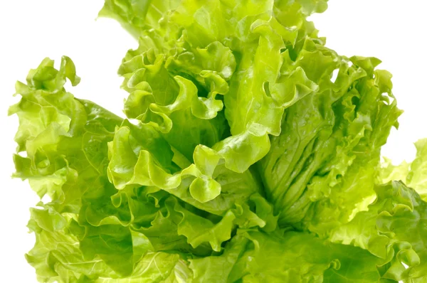 Зеленый салат изолирован на белом фоне — стоковое фото