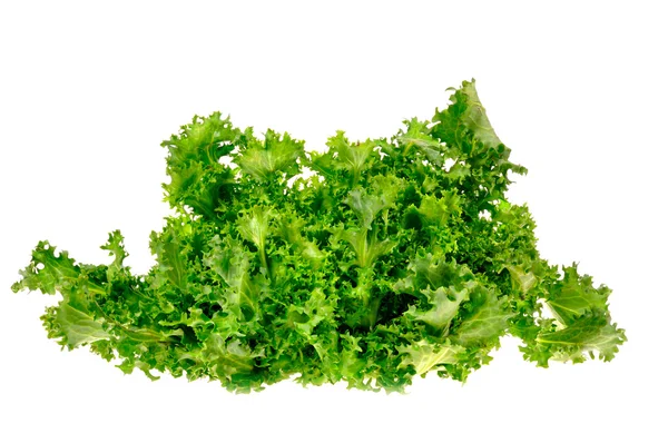 Groene salade geïsoleerd op een witte achtergrond — Stockfoto