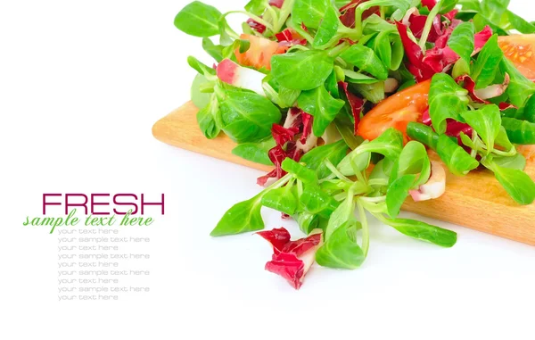 Salada mista fresca com tomates em um fundo branco — Fotografia de Stock