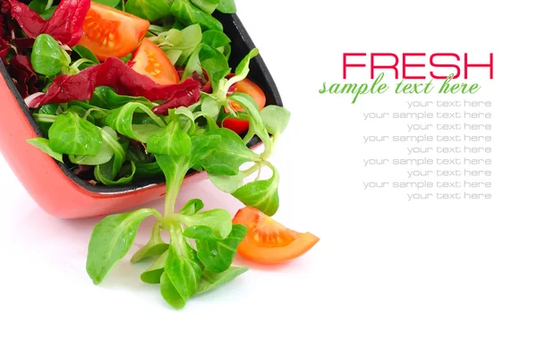 Salada fresca está em um prato vermelho em um fundo branco — Fotografia de Stock