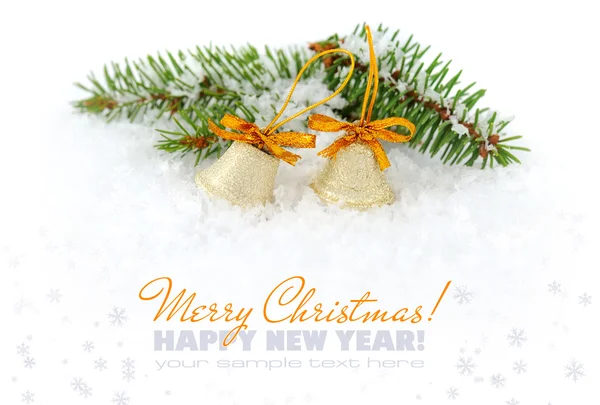 Vánoční skladbou je s vánoční bluebell a pobočky — Stock fotografie