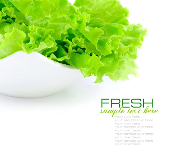 Ensalada verde fresca en un plato sobre fondo blanco —  Fotos de Stock