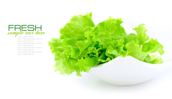 Salade verte fraîche dans un plat sur fond blanc — Photo
