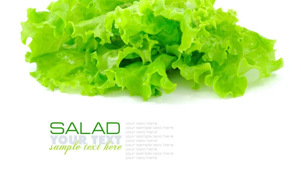 Salată verde proaspătă izolată pe fundal alb — Fotografie, imagine de stoc