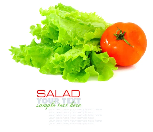 Verse groene salade en tomaat geïsoleerd op witte achtergrond — Stok fotoğraf