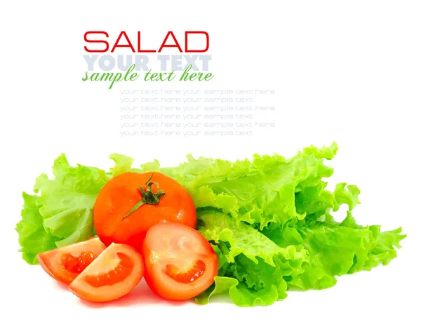 Friss zöld salátával és paradicsommal elszigetelt fehér background — Stock Fotó