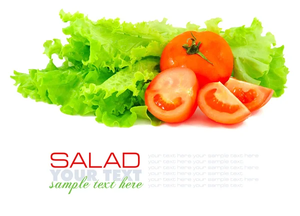 新鲜蔬菜沙拉和番茄在白色背景上孤立 — 图库照片