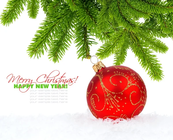 Christmas red ball and pine — Stock Photo, Image