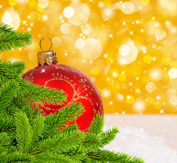 Vánoční červený míček a borovice na zlaté pozadí s prostorem pro te — Stock fotografie