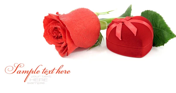 Kırmızı kadife kalp şeklinde hediye kutusu ve beyaz zemin üzerine gül — Stok fotoğraf