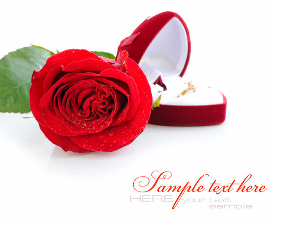 Red rose and red velvet box with golden ring on white background