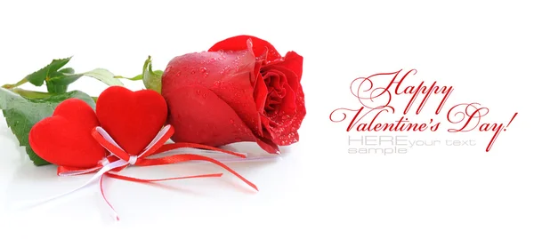 Dois corações de veludo estão com uma rosa vermelha em um fundo branco — Fotografia de Stock