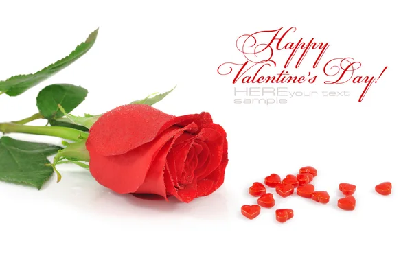 Rode roos met snoepjes door hart op een witte achtergrond — Stockfoto