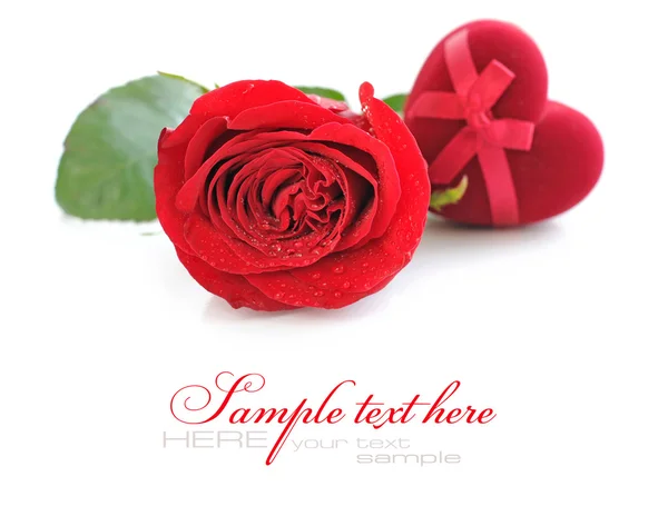 Rosa rossa con velluto rosso Scatola regalo a forma di cuore su uno schienale bianco — Foto Stock
