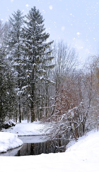 Zimowy krajobraz z małą rzeką — Zdjęcie stockowe