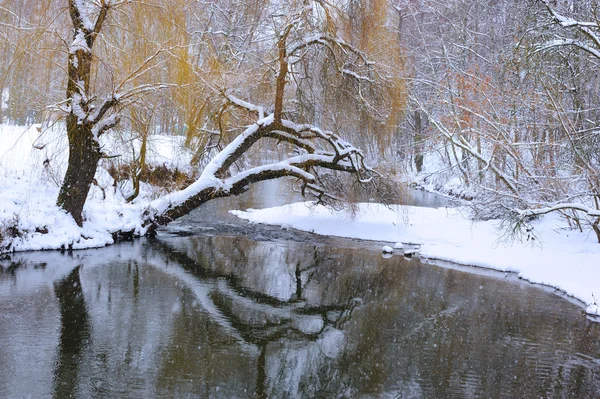 Зимний пейзаж с небольшой рекой — стоковое фото