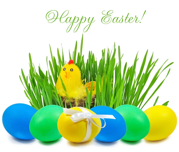Paskalya yumurtaları ve yuva ile tavuk ve tavuk yeşil çimenlerin üzerinde w — Stok fotoğraf