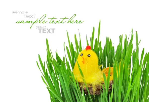 复活节巢与一只母鸡和鸡的白背上的绿草 — 图库照片