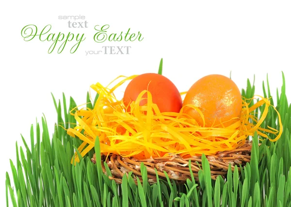 Çimenlerin üzerinde dekoratif bir yuvada Paskalya yortusu yumurta — Stok fotoğraf