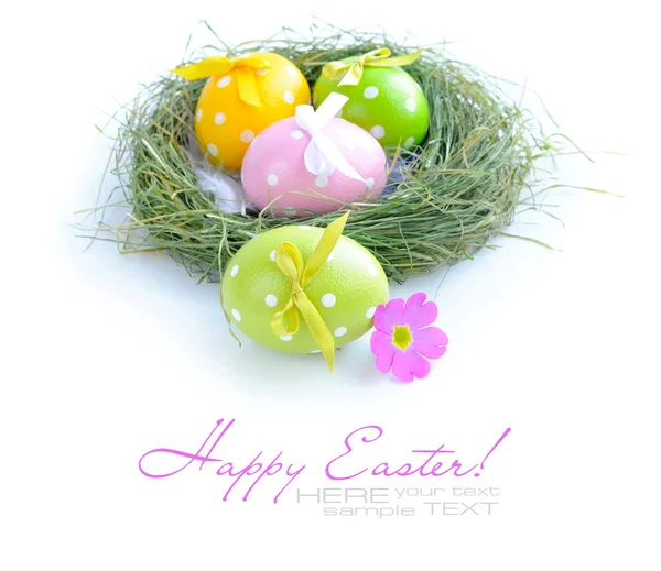 Huevos coloridos de Pascua están en un nido sobre un fondo blanco —  Fotos de Stock