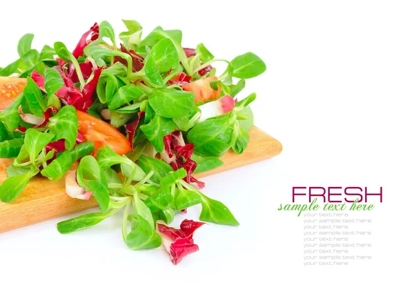 Kevert friss saláta, paradicsom, fehér alapon — Stock Fotó