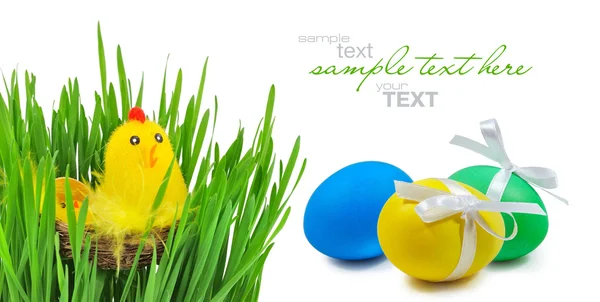 Húsvéti tojás és a fészek tyúk és csirke — Stock Fotó