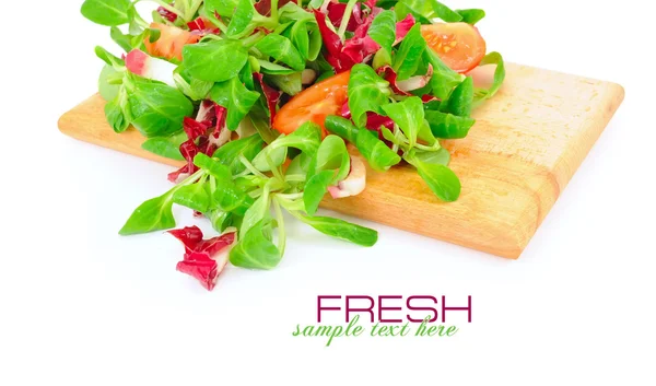 Kevert friss saláta, paradicsom, fehér alapon — Stock Fotó