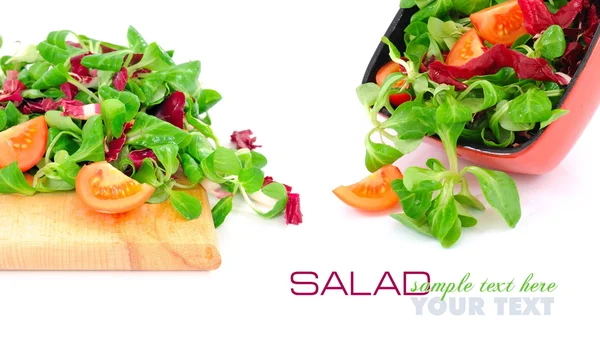 Verse gemengde salade met tomaten — Stockfoto