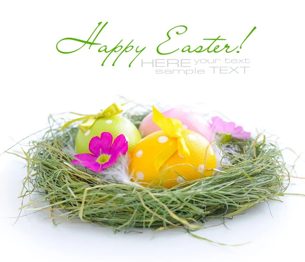 Jsou barevné velikonoční vejce v hnízdě na bílém pozadí — Stock fotografie