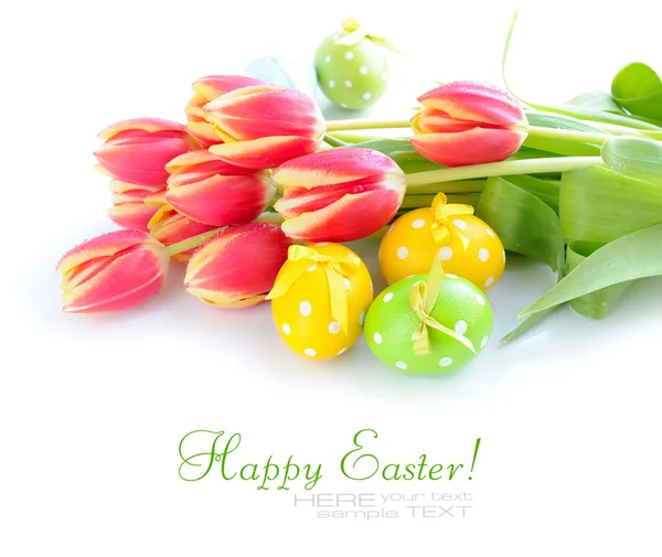 Huevos de Pascua con tulipanes sobre fondo blanco —  Fotos de Stock