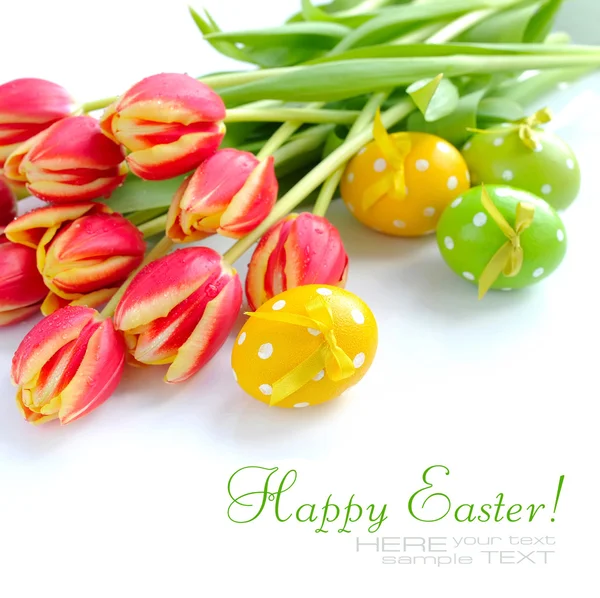 Huevos de Pascua con tulipanes sobre fondo blanco —  Fotos de Stock
